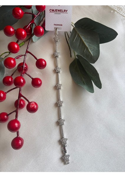 14K Altın Kaplama Zirkon Taşlı Bileklik Ervalina Xuping Star-Gümüş Renkli Parlak Bileklik fiyatları