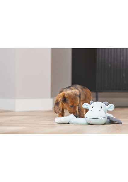 Techmrt Beeztees Yavru Köpek Oyuncağı, Dragon, Peluş, Gri, 45X24,5X6CM modelleri