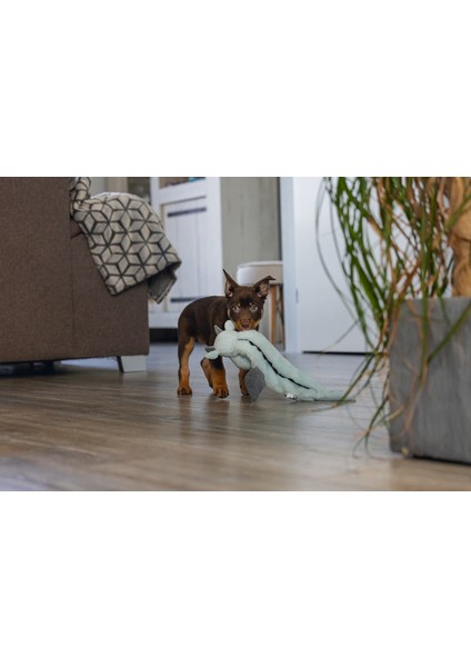 Techmrt Beeztees Yavru Köpek Oyuncağı, Dragon, Peluş, Gri, 45X24,5X6CM fırsatları