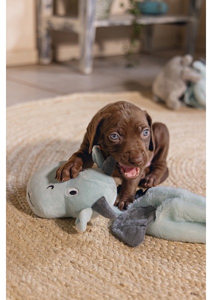 Techmrt Beeztees Yavru Köpek Oyuncağı, Dragon, Peluş, Gri, 45X24,5X6CM indirimleri