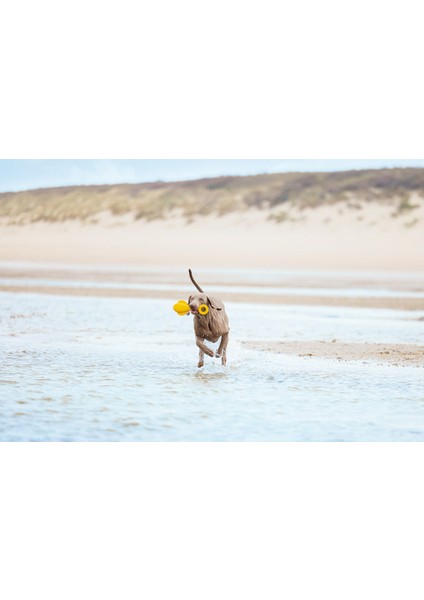 Techmrt Beeztees Köpek Oyuncağı, Yüzen, Şamandıra, Tpr, Sarı, 28X13X8CM modelleri