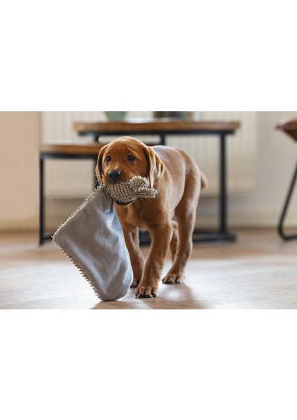 Techmrt Beeztees Yavru Köpek Oyuncağı, Peluş, Gri, 37X28X4CM fiyatları