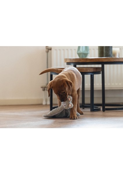 Techmrt Beeztees Yavru Köpek Oyuncağı, Peluş, Gri, 37X28X4CM fırsatları