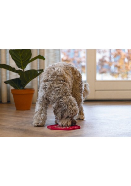 Techmrt Beeztees Yavru Köpek Yaş Mama Yeme Oyuncağı, Sekizgen Şeklinde, Silikon, Pembe, 23X20CM fiyatları