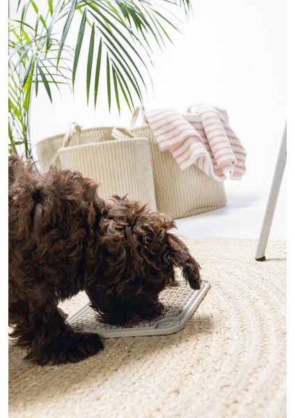 Techmrt Beeztees Yavru Köpek Yaş Mama Yeme Oyuncağı, Kare, Silikon, Gri, 20X20CM fiyatları