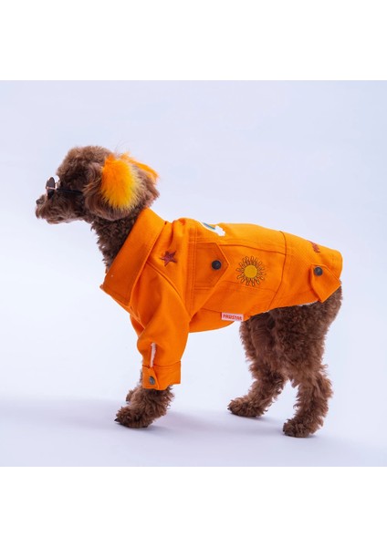 Turuncu Cancún Kedi Köpek Pop Ceket