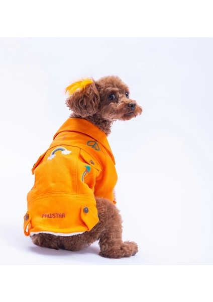 Turuncu Cancún Kedi Köpek Pop Ceket fiyatları