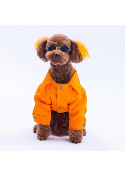 Turuncu Cancún Kedi Köpek Pop Ceket modelleri