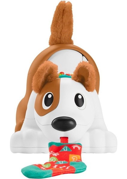HHH13 Fisher Price, Emeklemeyi ve Saymayı Öğreten Köpekçik Kız Erkek Çocuk Oyuncak Eğitici Oyuncakla modelleri