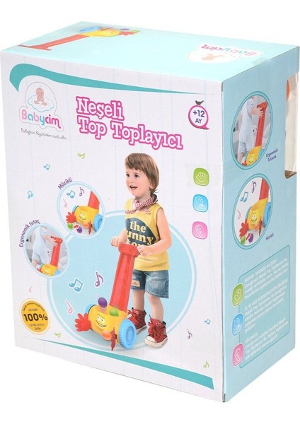 HE0818 Babycim Top Toplama Oyunu Kız Erkek Çocuk Oyuncak Eğitici Oyuncaklar fiyatları