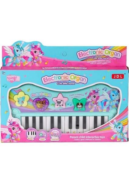 Kutulu Çantalı Pilli Org Kız Erkek Çocuk Oyuncak Eğitici Oyuncaklar