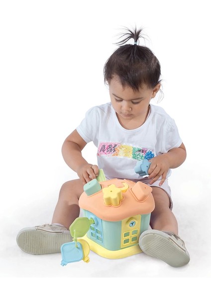 Sevimli Bultak Ev- Kilitli Kapı Kız Erkek Çocuk Oyuncak Eğitici Oyuncaklar modelleri