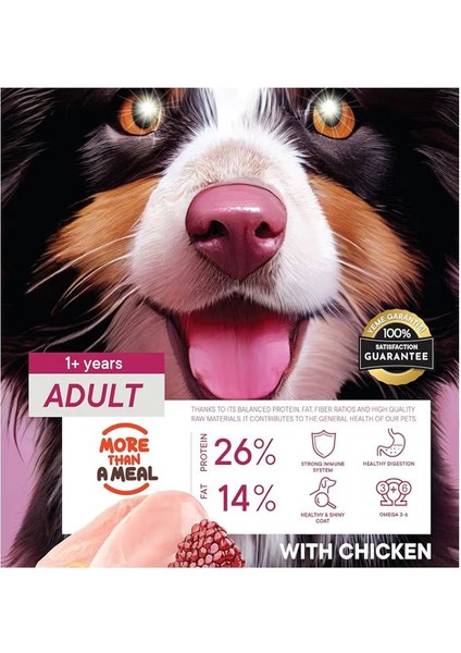 Yetişkin Köpekler Için Kuzu Etli Kuru Köpek Maması (3 Kg, Kuzu) modelleri