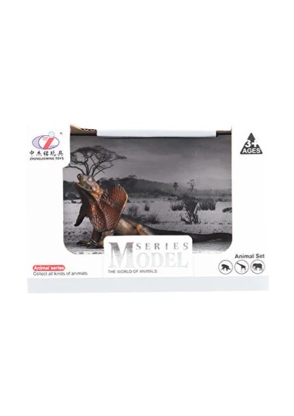 Kutulu Model Yakalı Kertenkele Kız Erkek Çocuk Oyuncak Eğitici Oyuncaklar