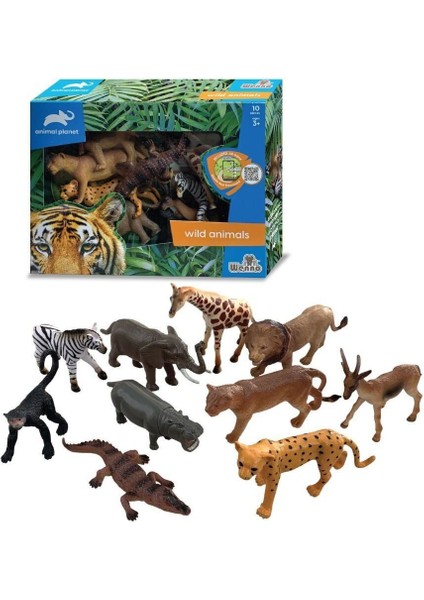 SH-D58011 Vardem Kutulu 10 Parça Vahşı Hayvan Seti Kız Erkek Çocuk Oyuncak Eğitici Oyuncaklar