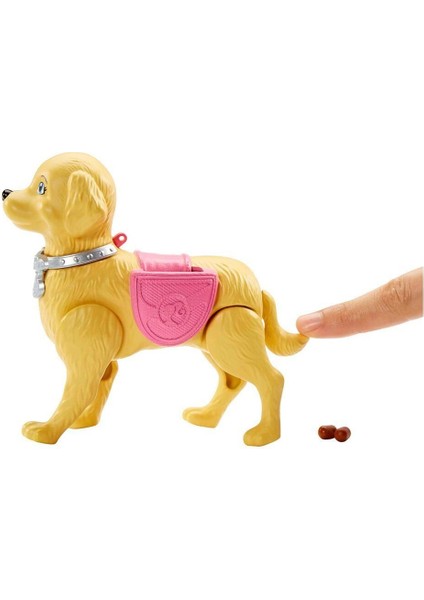 DWJ68 Barbie ve Köpeği Tuvalet Eğitiminde Kız Erkek Çocuk Oyuncak Eğitici Oyuncaklar