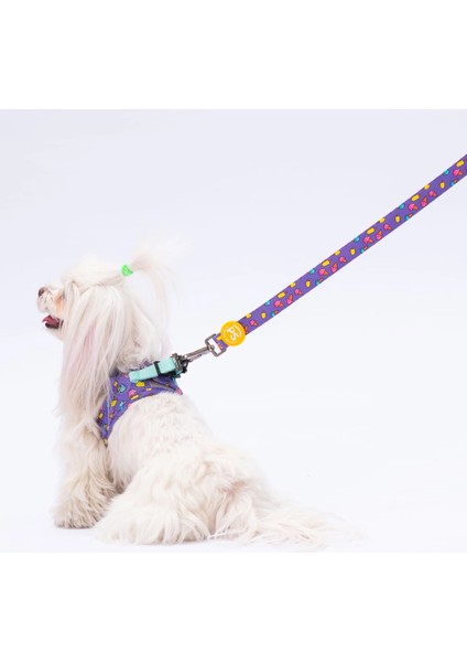 Ice Cream Sevk Kayışı / Gezdirme 120 cm fiyatları