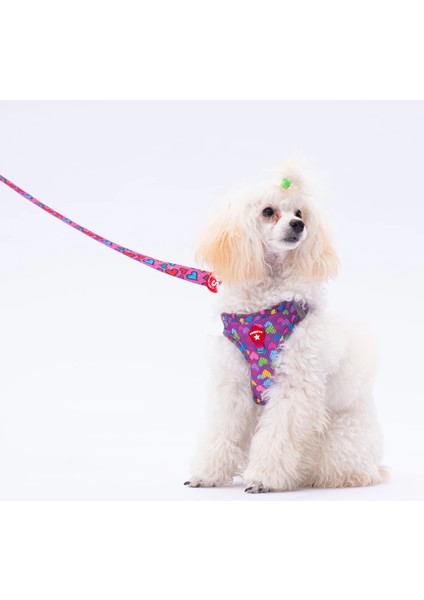 Hearts Sevk Kayışı / Gezdirme 120 cm modelleri