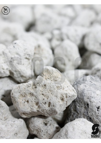 Sosc Natural Volkanik Beyaz Dekoratif Pomza Taşı, 2-4 Cm, 10 Litre, Drenaj ve Toprak Nemlendirici Özellikli, Saksı Süsleme