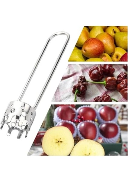 Mevve Sebze Çekirdek Çıkarma Aparatı modelleri