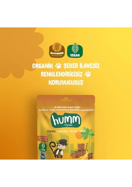 Bfs Humm Organik Glutensiz Vegan Muzlu Kek 30 gr fiyatları