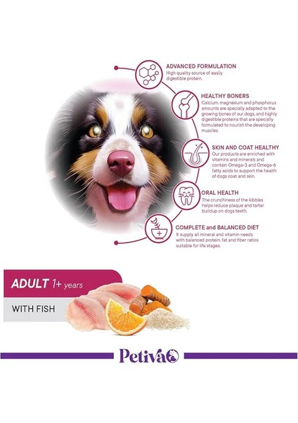 Mini Irk Köpekler Için Balık Etli Kuru Köpek Maması (3 Kg, Kuzu) fiyatları