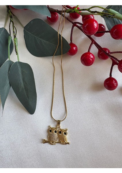 316L Çelik Taşlı Ikili Baykuş Model Kolye-Şık ve Anlamlı Tasarım Çelik Kolye fiyatları