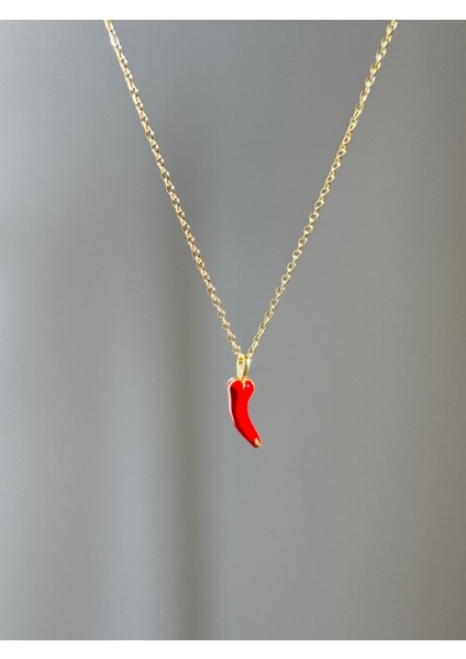 Çelik Kadın Biber Kolye fiyatları