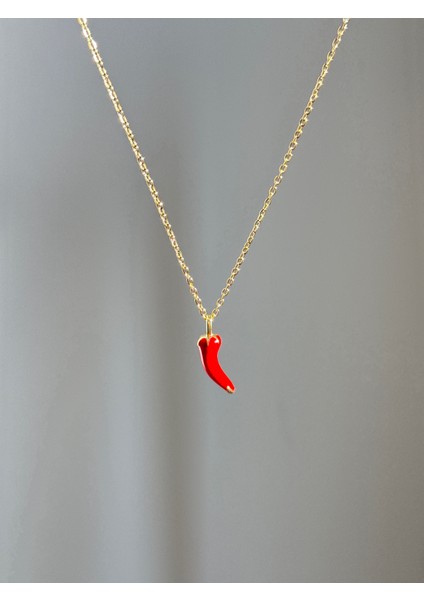 Çelik Kadın Biber Kolye modelleri