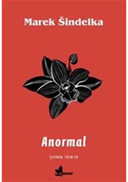 Anormal