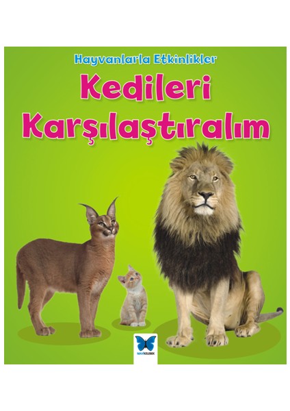 Hayvanlarla Etkinlikler - Kedileri Karşılaştıralım