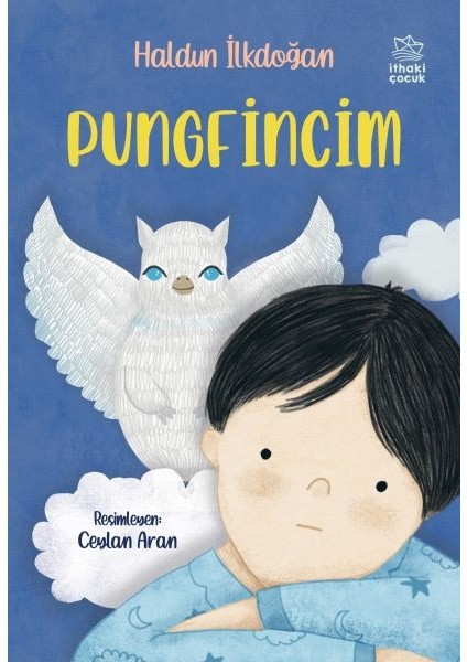 Pungfincim