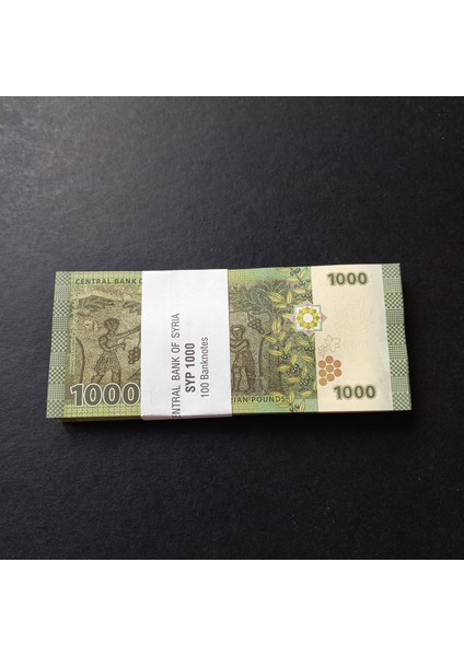 Escoines 3996368F576F03D240 Suriye 1000 Pound Çil 100ADET 1 Deste