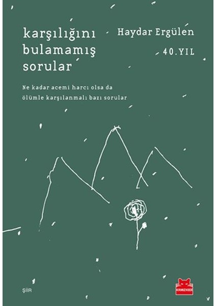 Karşılığını Bulamamış Sorular