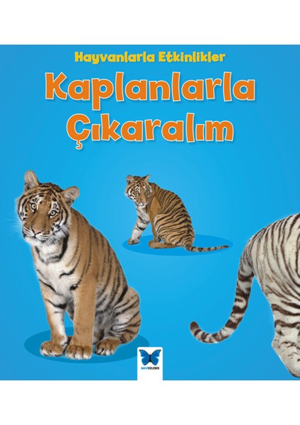 Hayvanlarla Etkinlikler - Kaplanlarla Çıkaralım