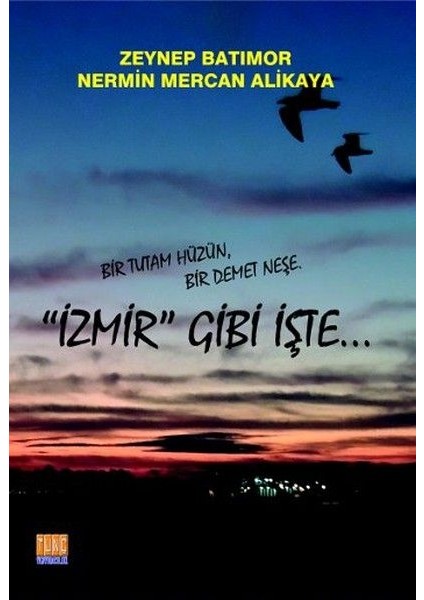 Izmir Gibi Işte