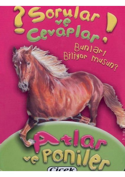 Sorular ve Cevaplar Kart Atlar ve Poniler