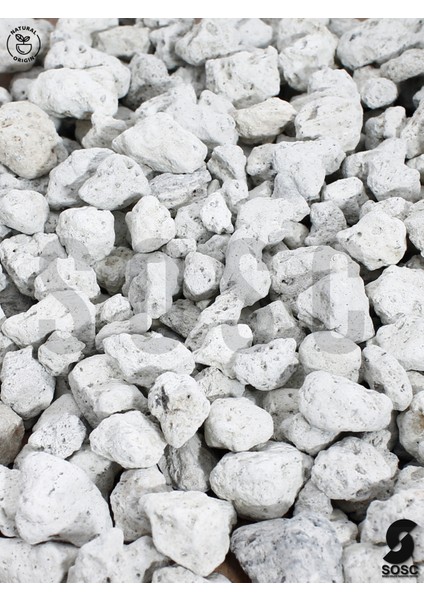 Sosc Natural Volkanik Beyaz Lav Taşı, Dekoratif Pomza, 2-4 Cm, 3 Litre, Saksı ve Bahçe Için Drenaj Düzenleyici, Toprak Nemlendirici fiyatları