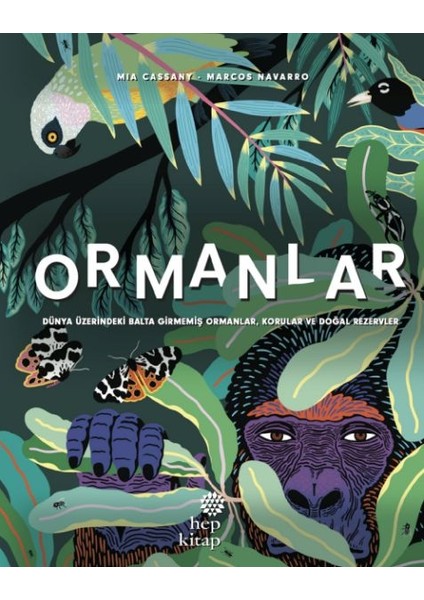 Ormanlar - Dünya Üzerindeki Balta Girmemiş Ormanlar, Korular ve Doğal Rezervler