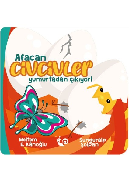 Afacan Civcivler Yumurtadan Çıkıyor!