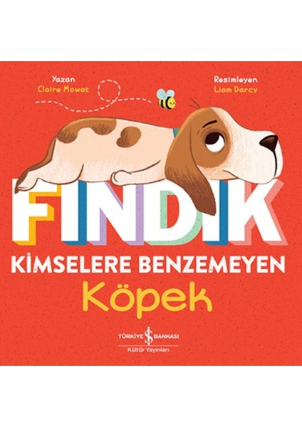 Fındık Kimselere Benzemeyen Köpek