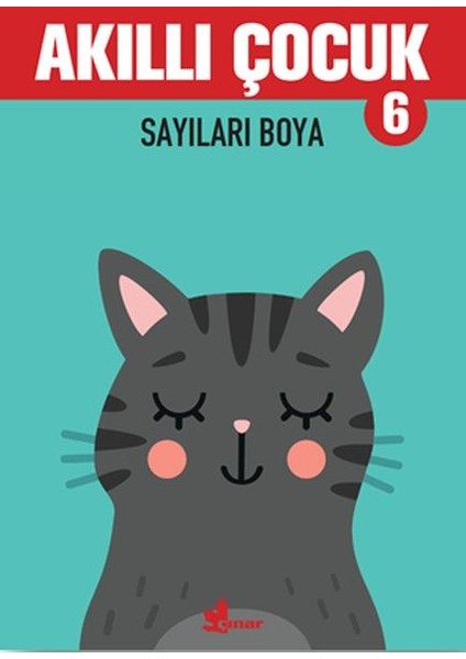Sayıları Boya - Akıllı Çocuk 6