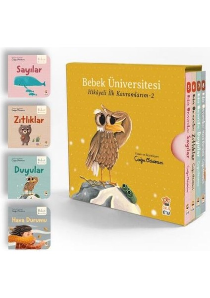 Bebek Üniversitesi Set 2 (4 Kitap)