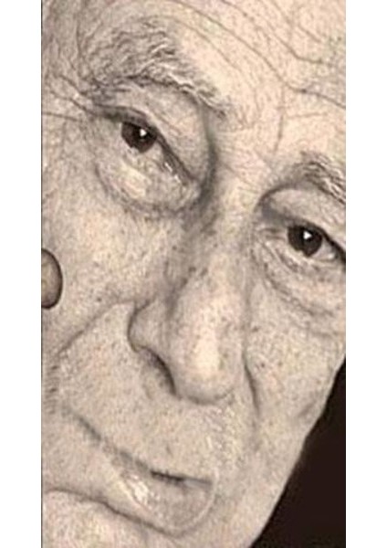 Panasdeğdzutyunner I-Iı (2 Cilt Takım)