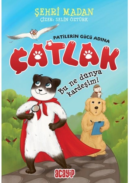 Bu Ne Dünya Kardeşim! - Çatlak - Patilerin Gücü Adına