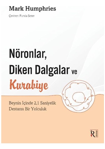 Nöronlar, Diken Dalgalar ve Kurabiye