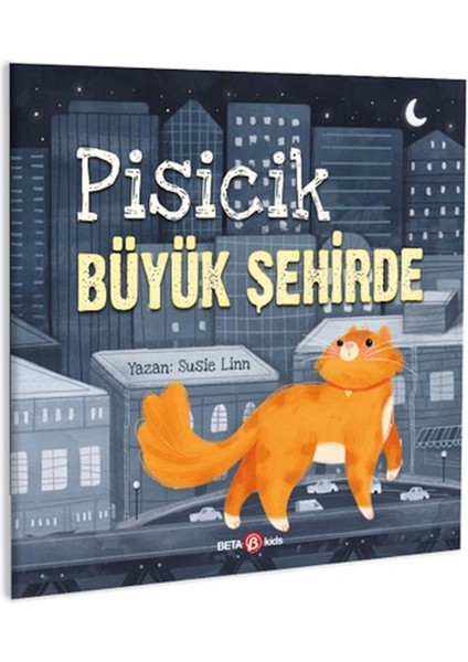 Pisicik Büyük Şehirde
