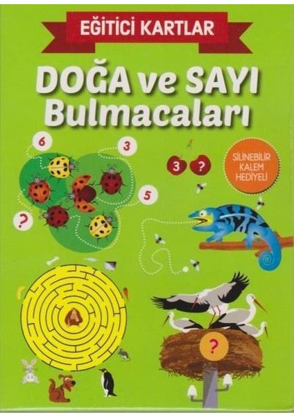 Eğitici Kartlar Doğa ve Sayı Bulmacaları