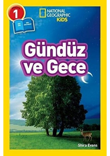 Gündüz ve Gece - Seviye 1