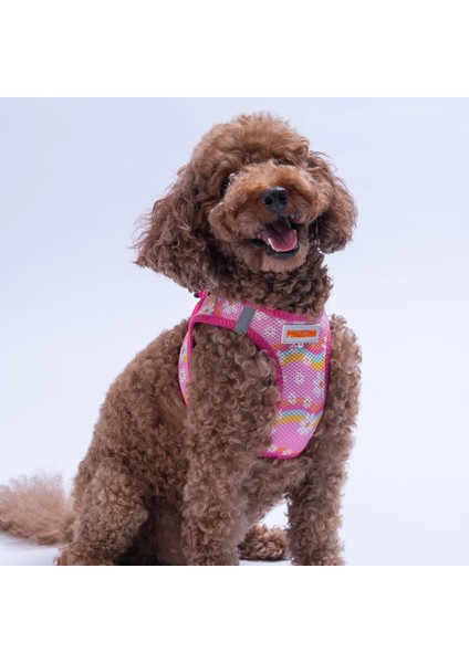 Daisy Airmesh Kedi Köpek Göğüs Tasması modelleri